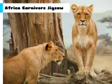 Africa Carnivore Jigsaw