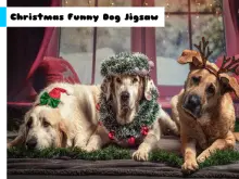 Christmas Funny Dog Jigsaw