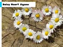 Daisy Heart Jigsaw