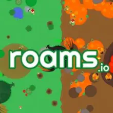 Roams.io icon