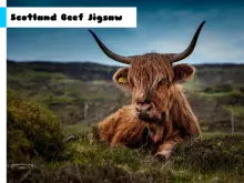 Scotland Beef Jigsaw