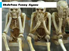 Skeletons Funny Jigsaw